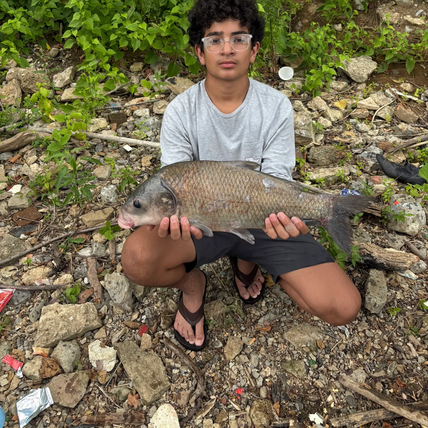 The most recent Smallmouth x black buffalo catches on Fishbrain