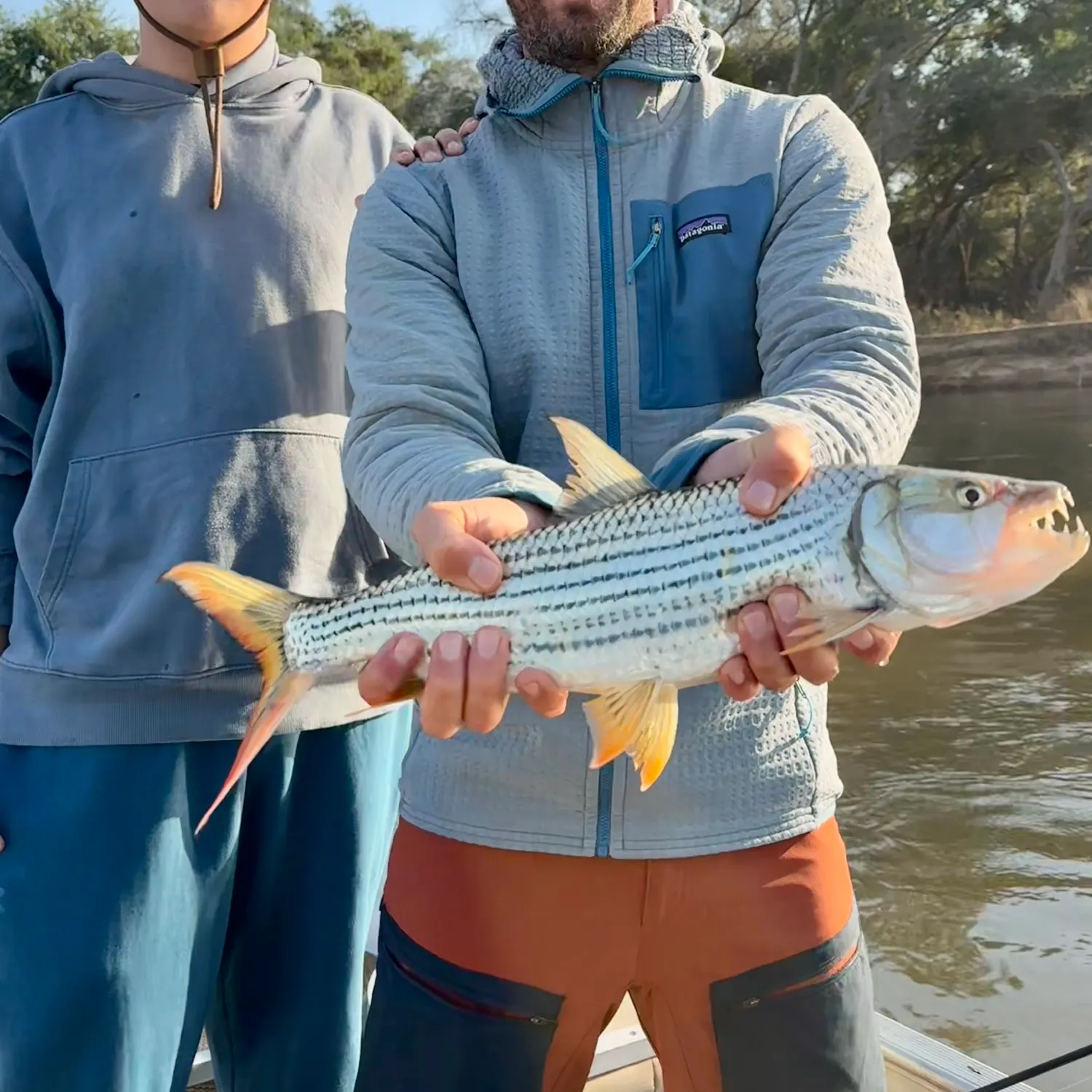 African tigerfish caught on Fishbrain