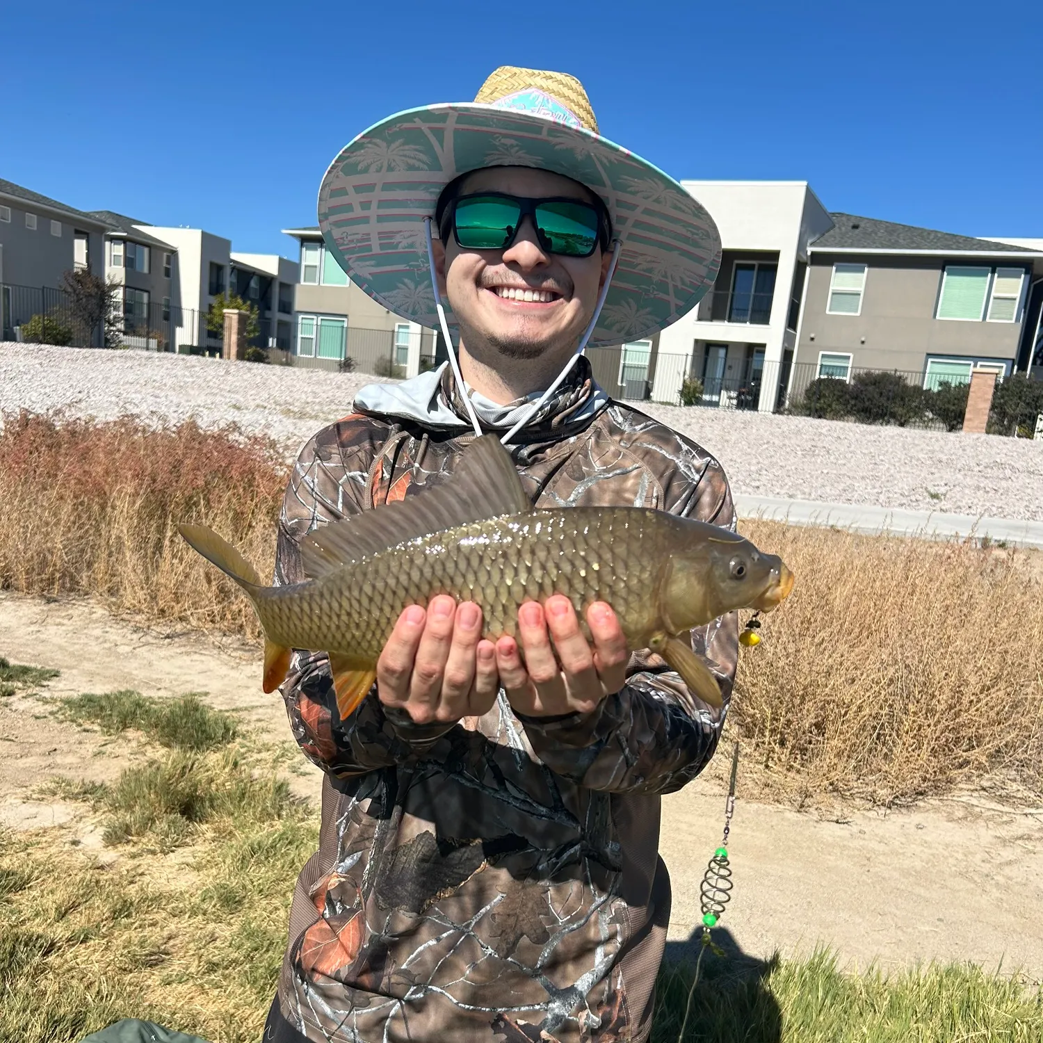 Common carp caught on Fishbrain