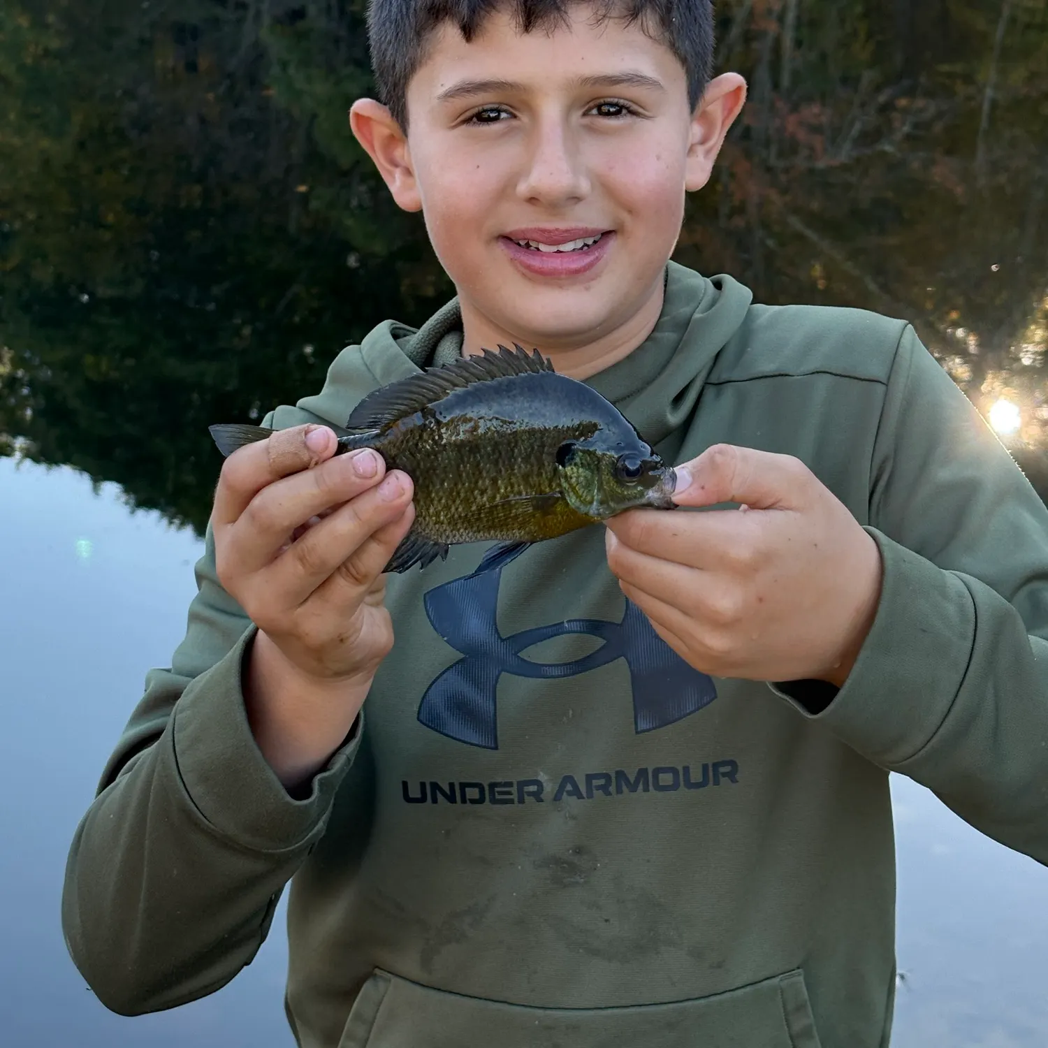 Bluegill caught on Fishbrain