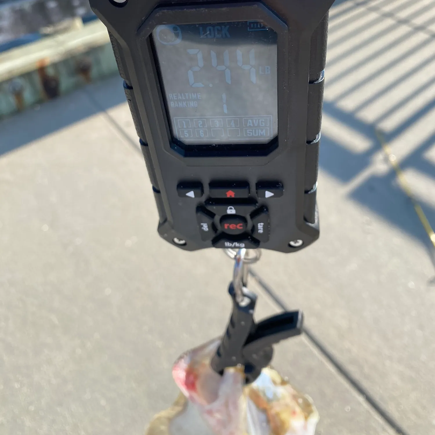 recently logged catches