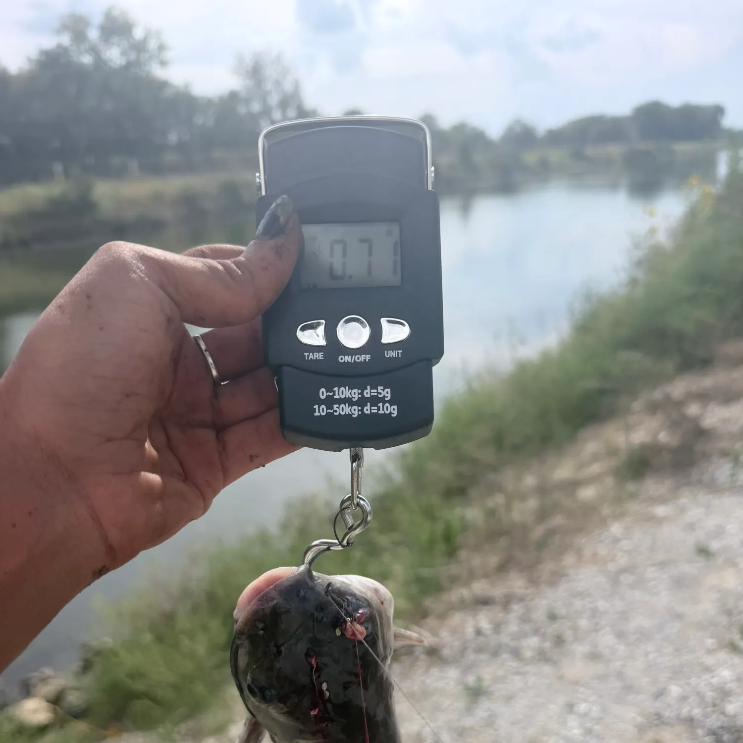 Fish caught on Fishbrain