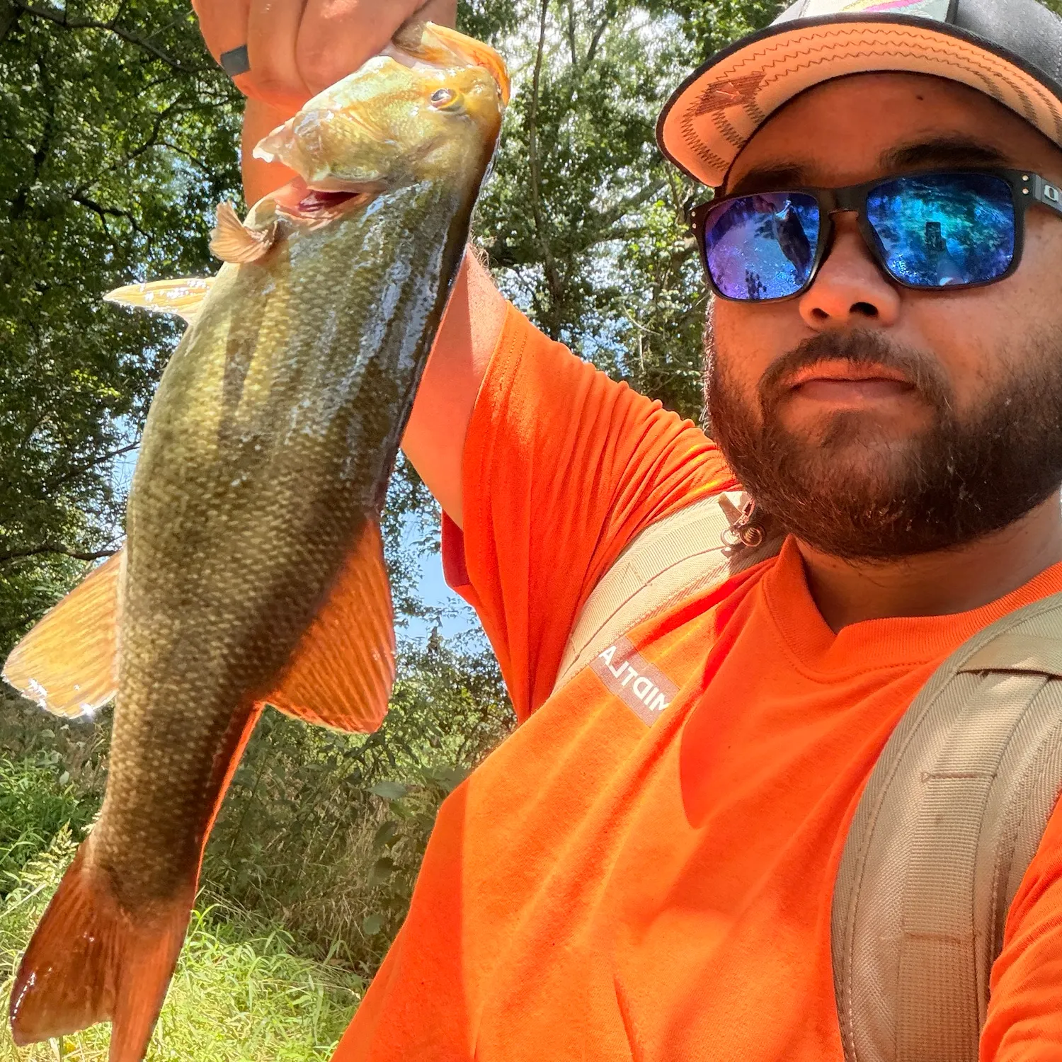 Smallmouth bass caught on Fishbrain