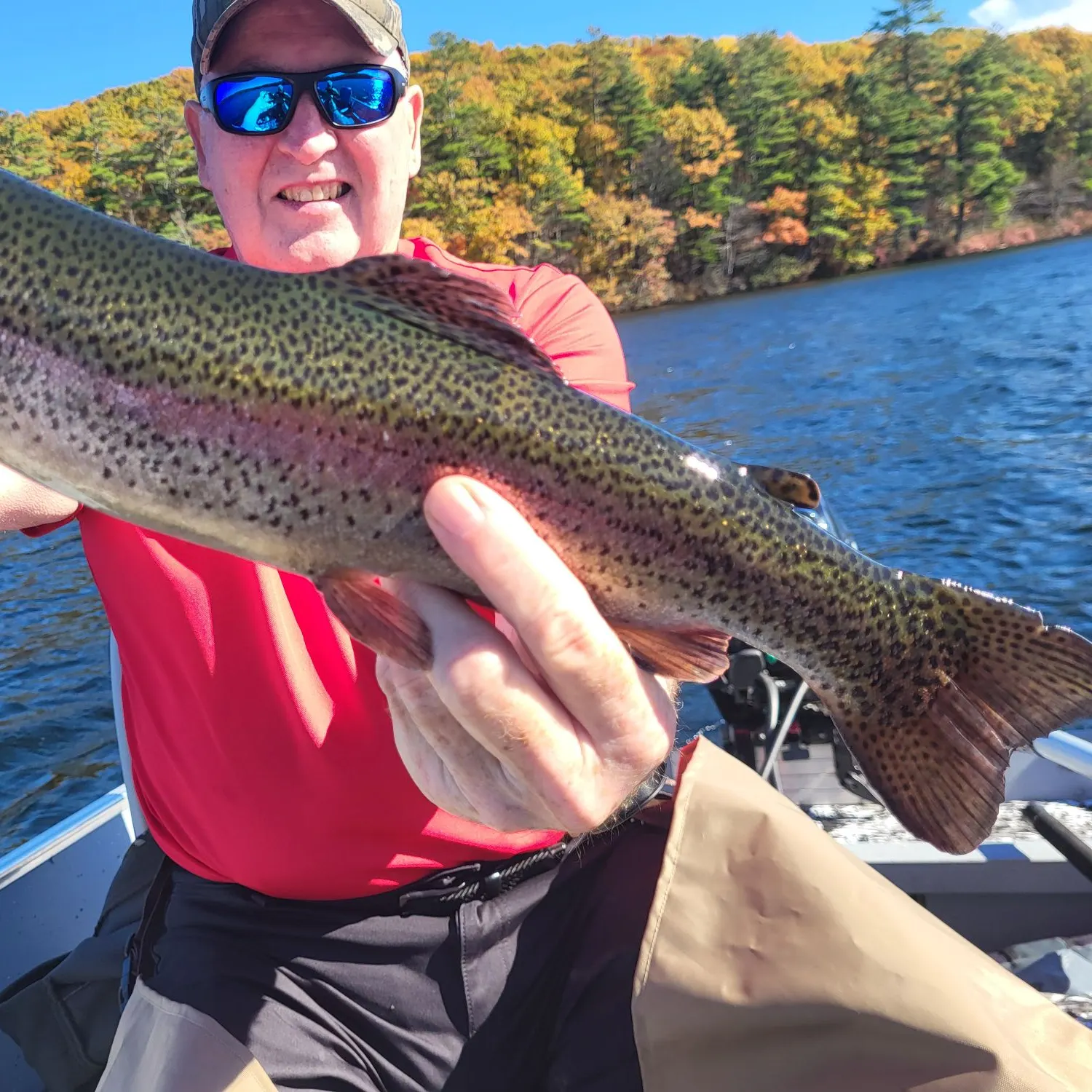 Brown trout caught on Fishbrain