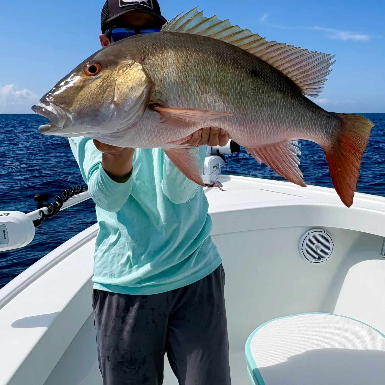 The most recent Mutton snapper catches on Fishbrain