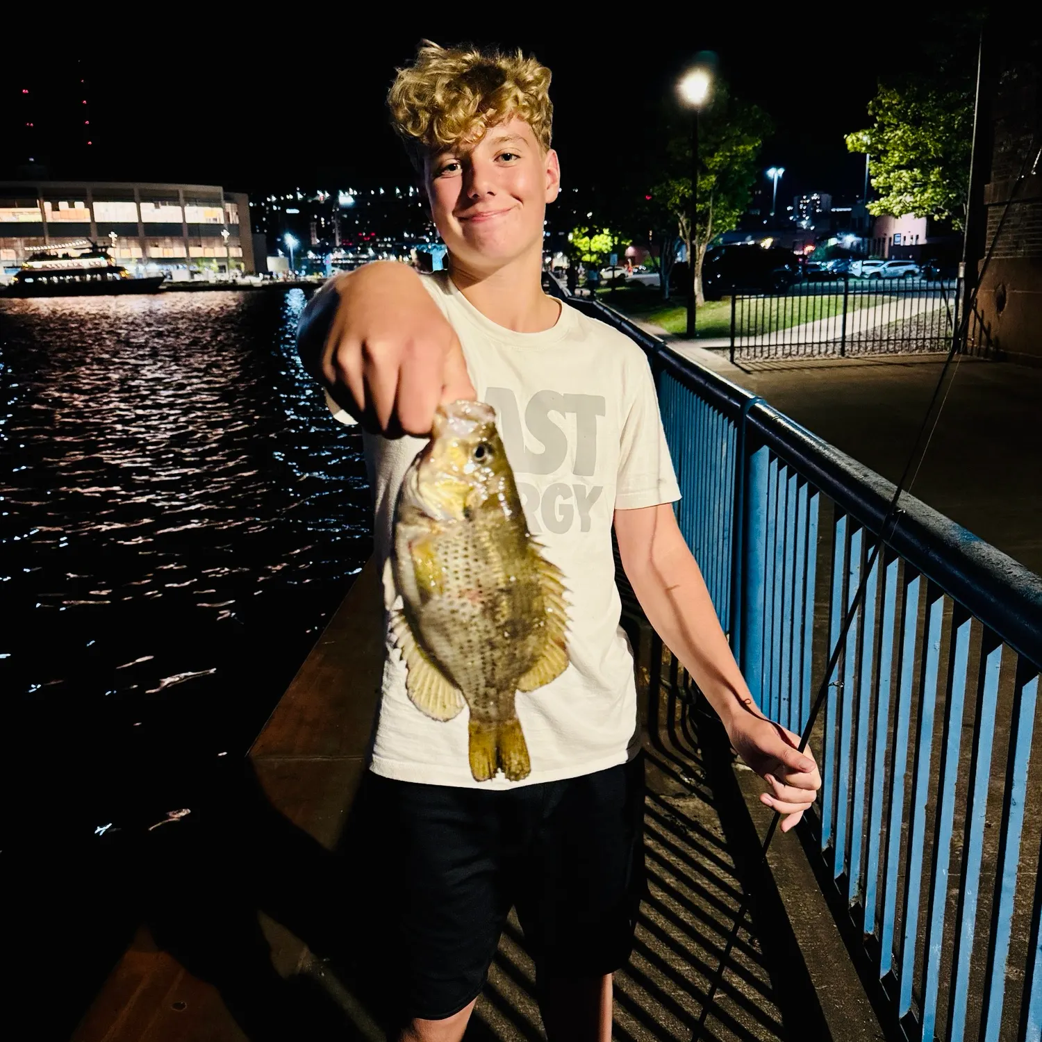Rock bass caught on Fishbrain