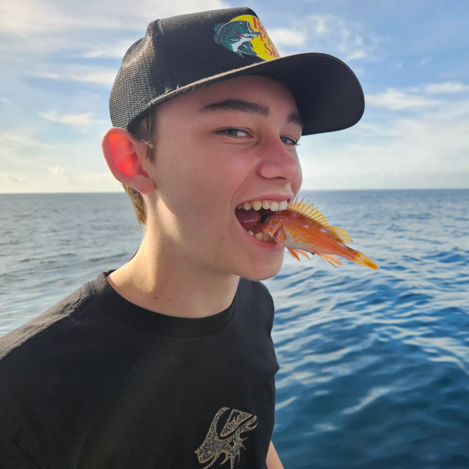 The most recent Starry rockfish catches on Fishbrain