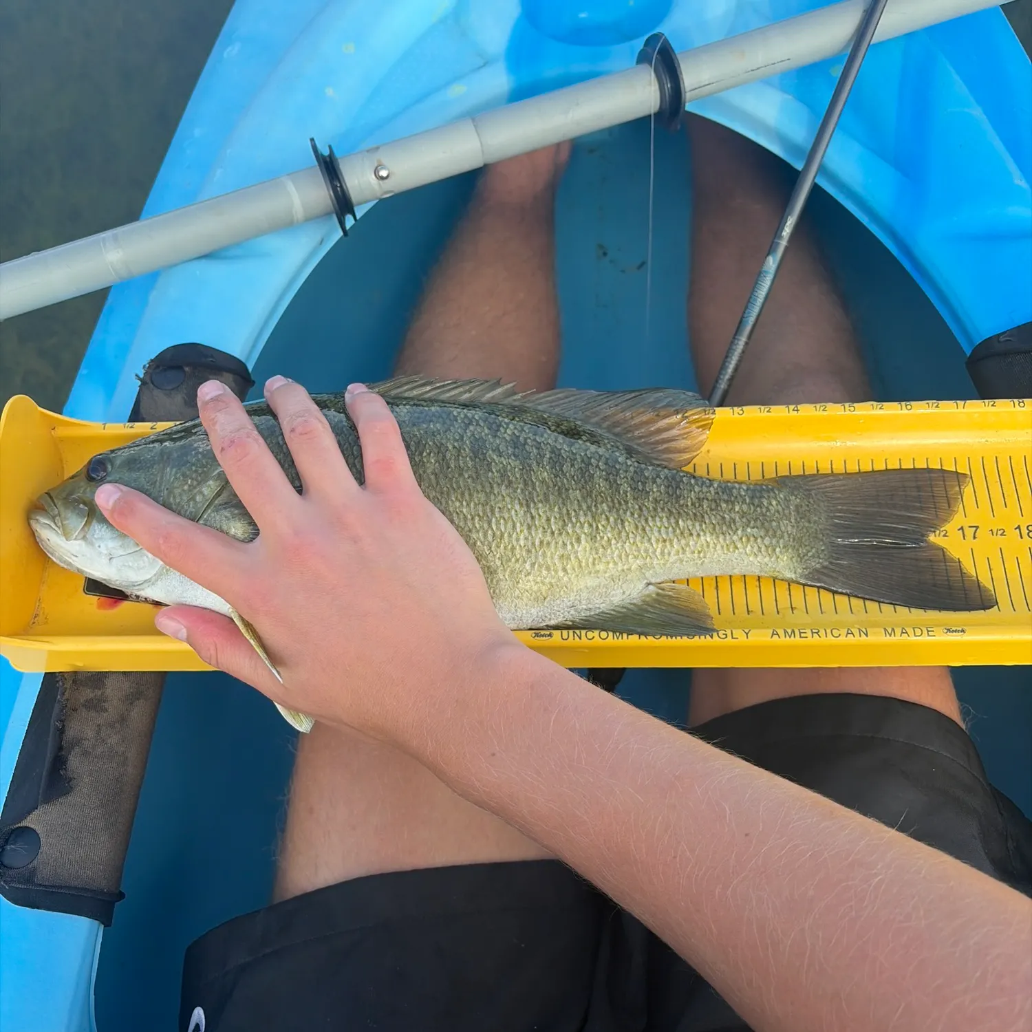Smallmouth bass caught on Fishbrain
