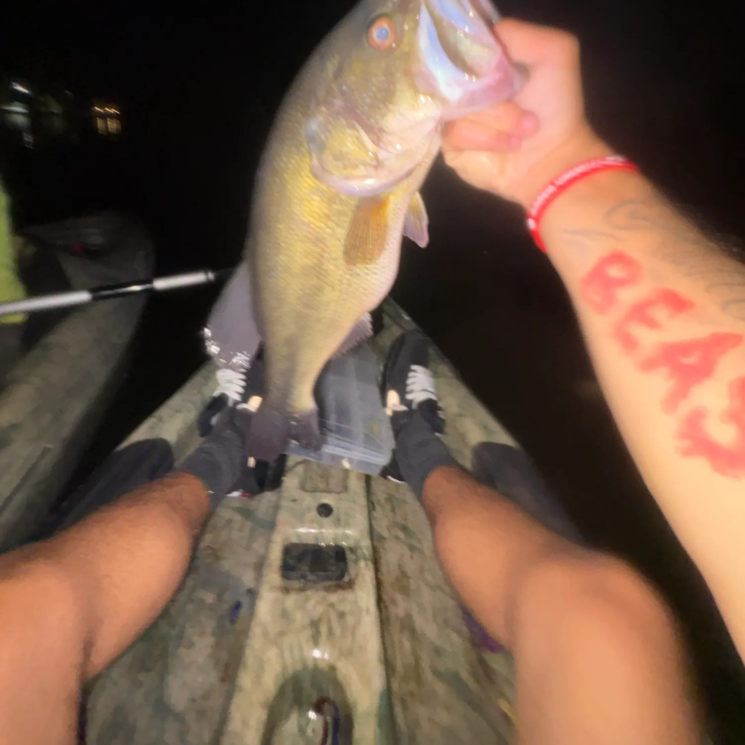 Largemouth bass caught on Fishbrain