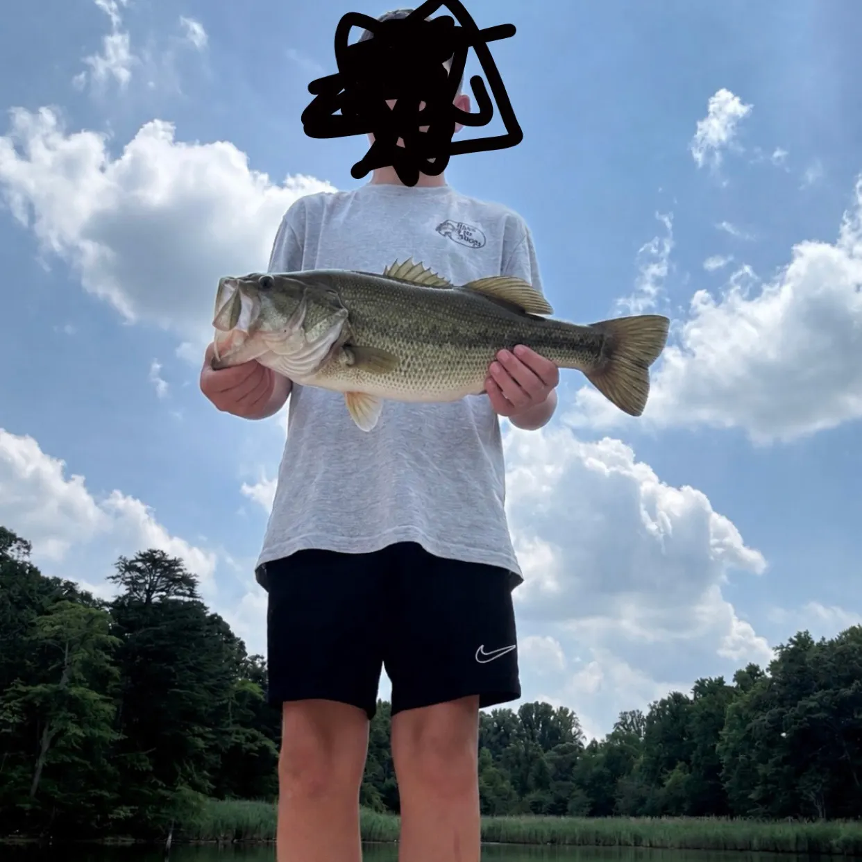 Largemouth bass caught on Fishbrain