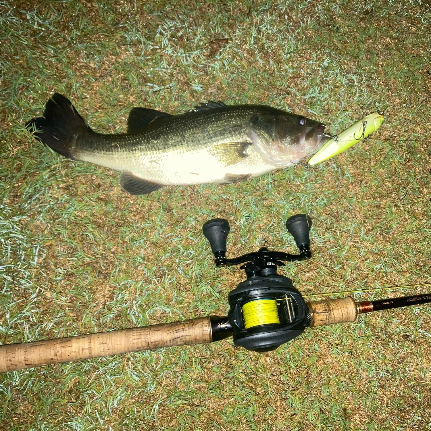 Largemouth bass caught on Fishbrain
