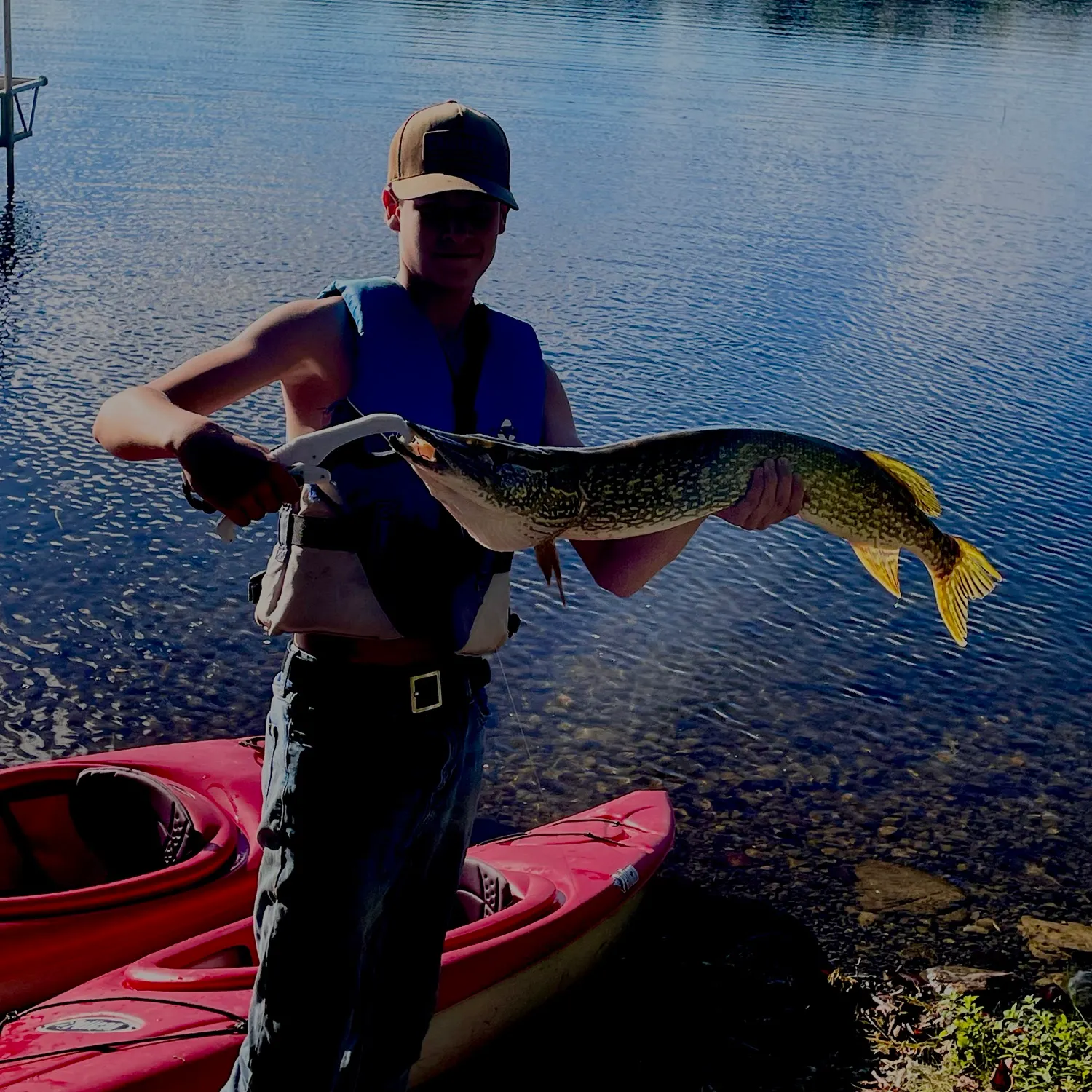 Northern pike caught on Fishbrain