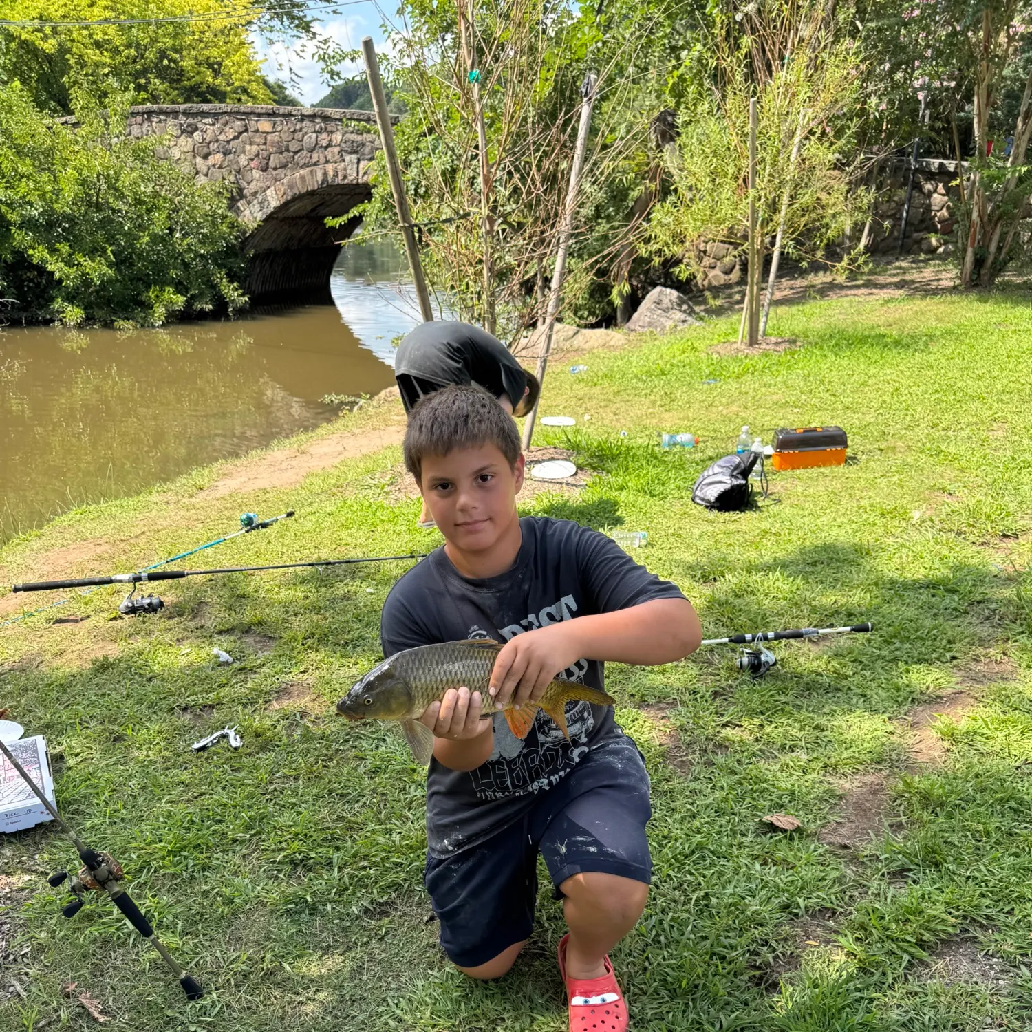 Common carp caught on Fishbrain