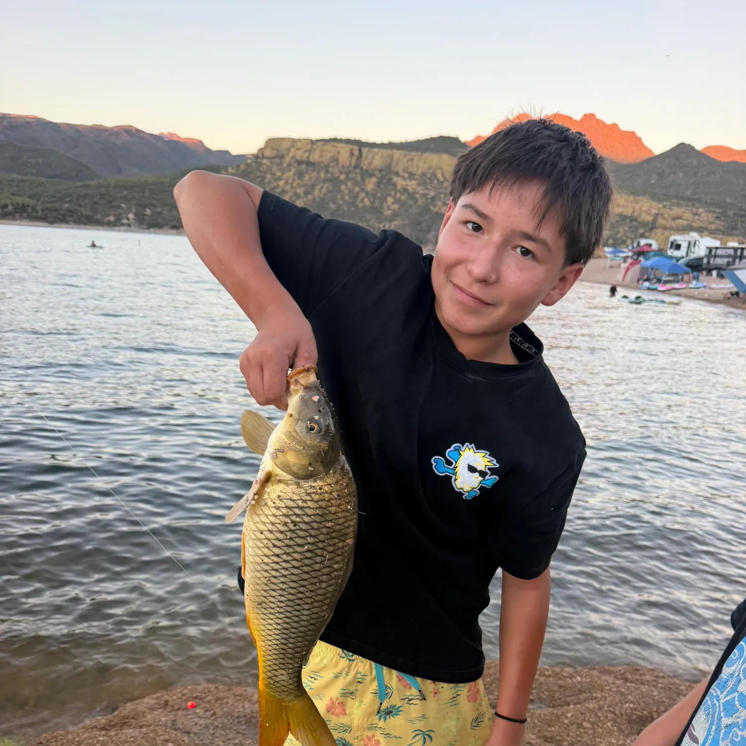 Common carp caught on Fishbrain