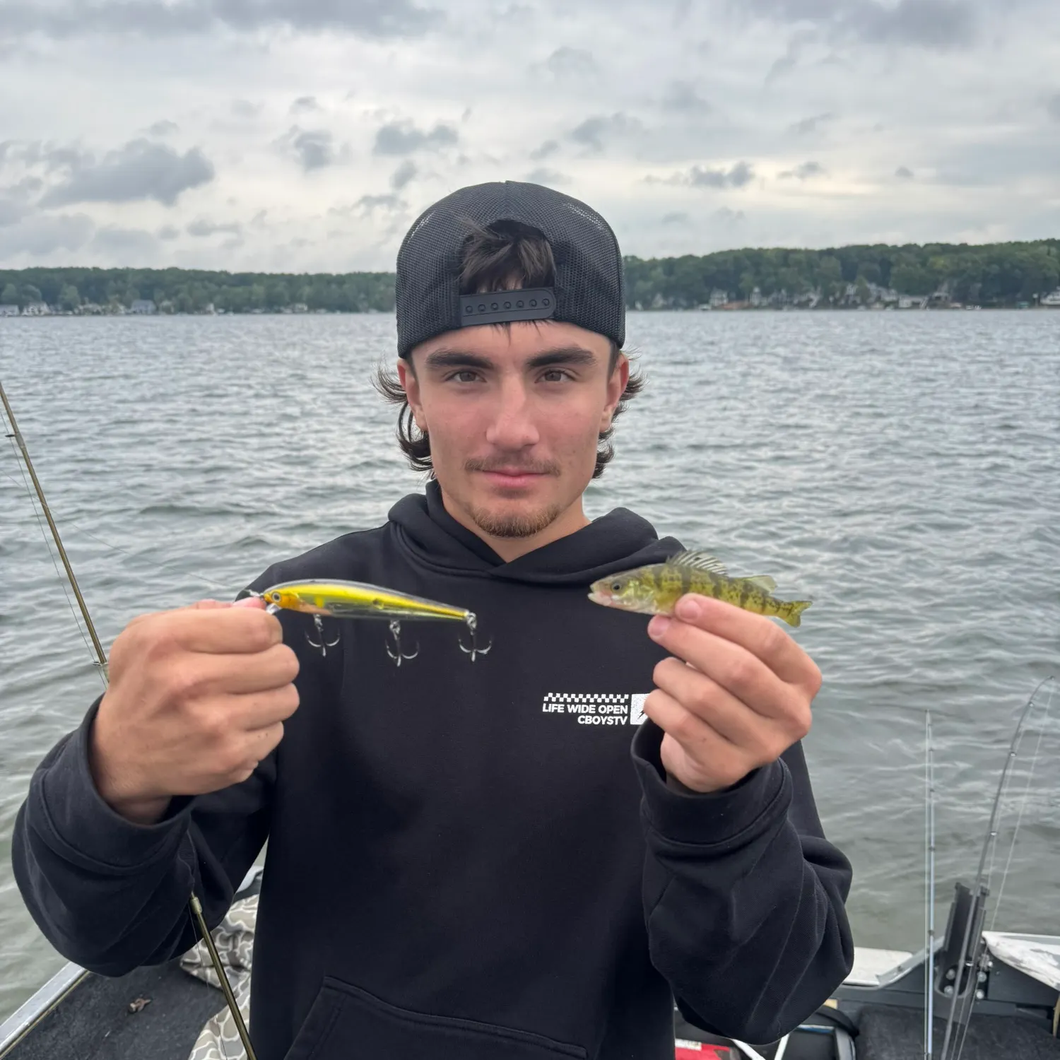 Yellow perch caught on Fishbrain
