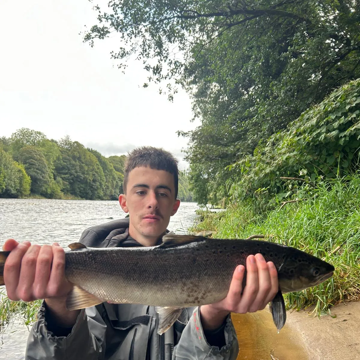 Landlocked atlantic salmon caught on Fishbrain