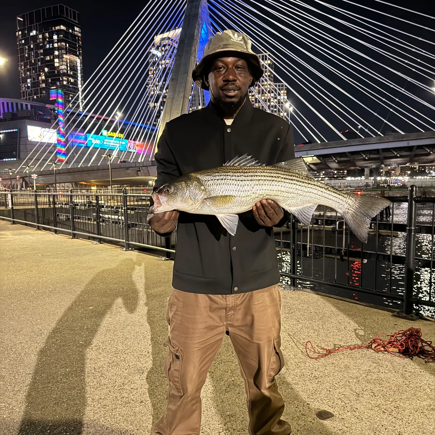 Striped bass caught on Fishbrain