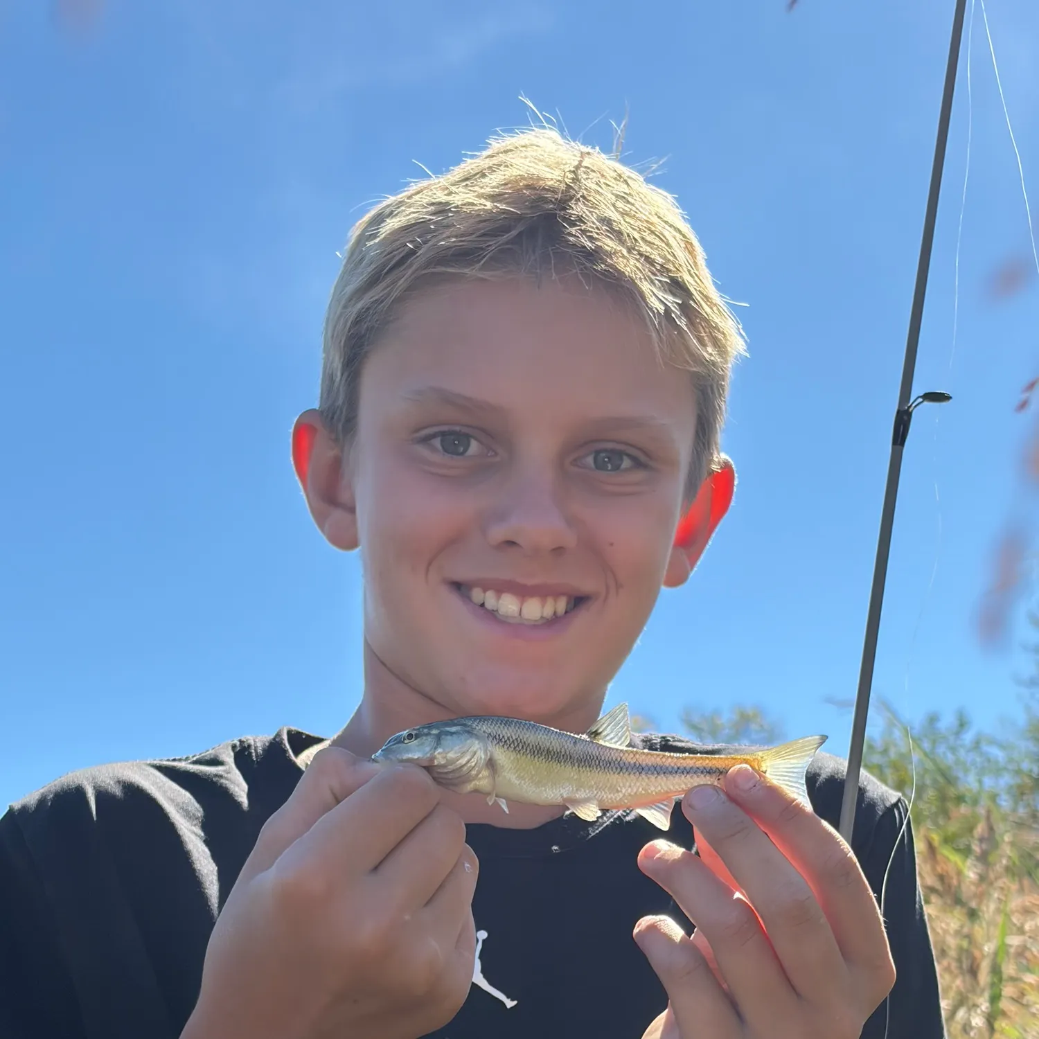 Creek chub caught on Fishbrain