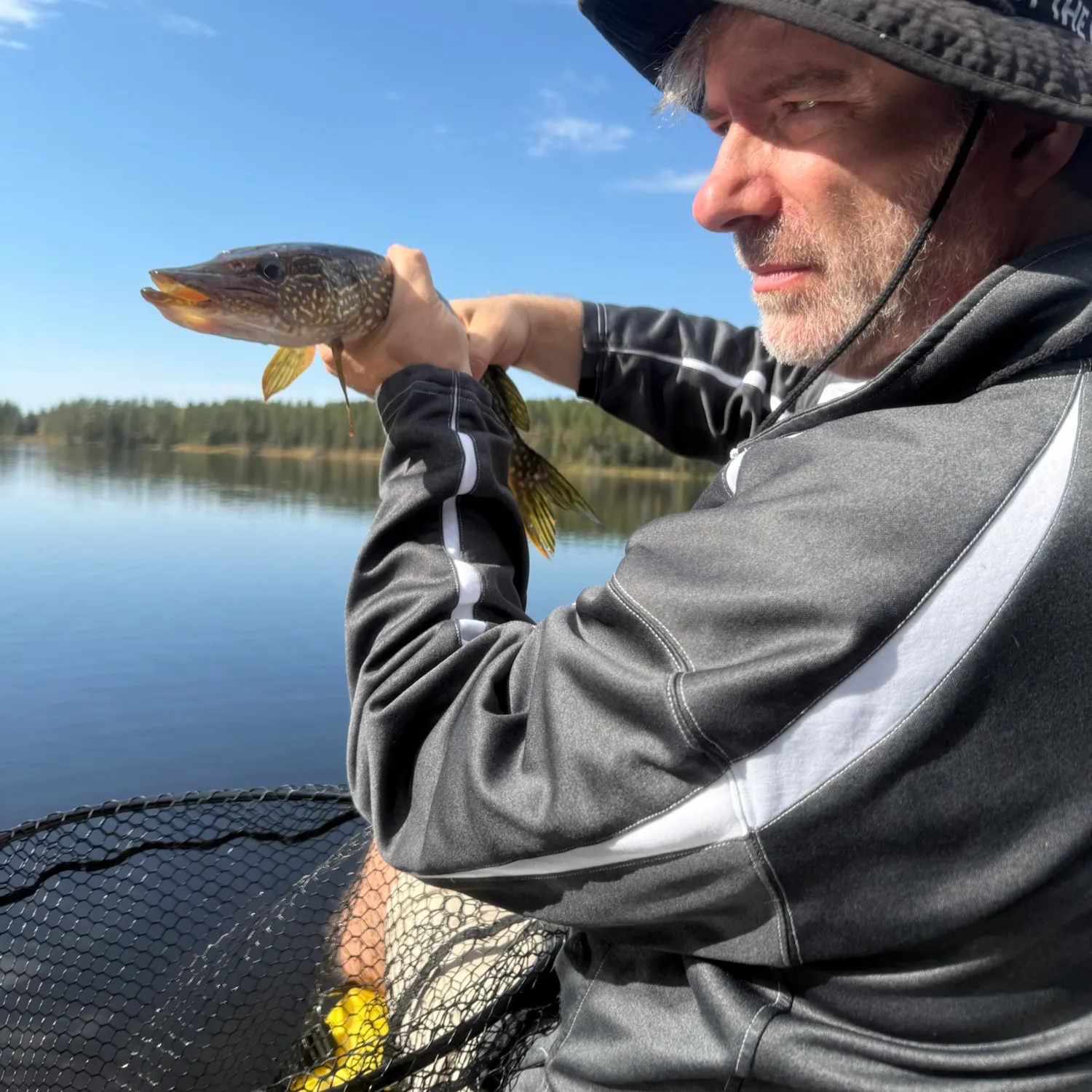 Northern pike caught on Fishbrain