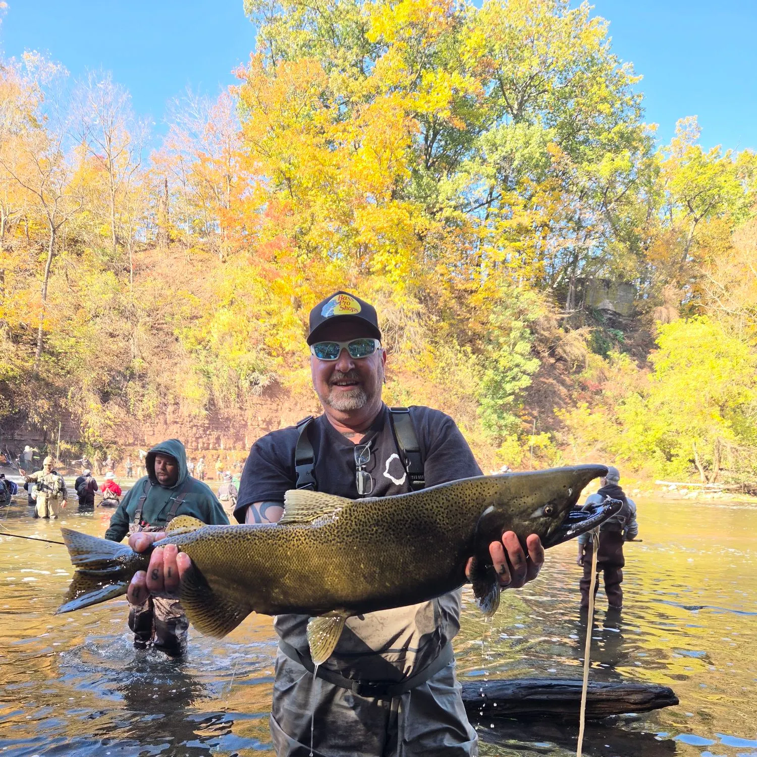 Chinook salmon caught on Fishbrain