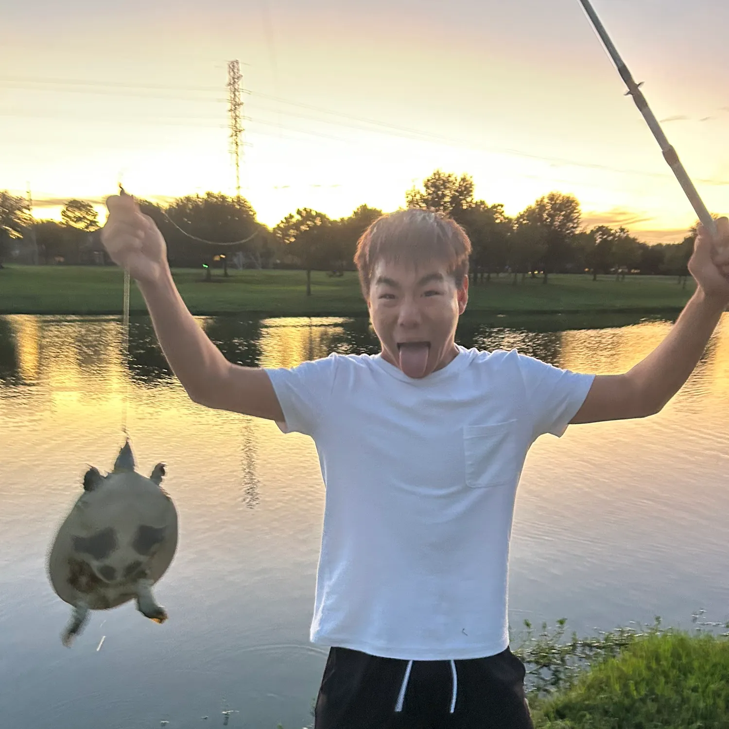 Spiny softshell turtle caught on Fishbrain