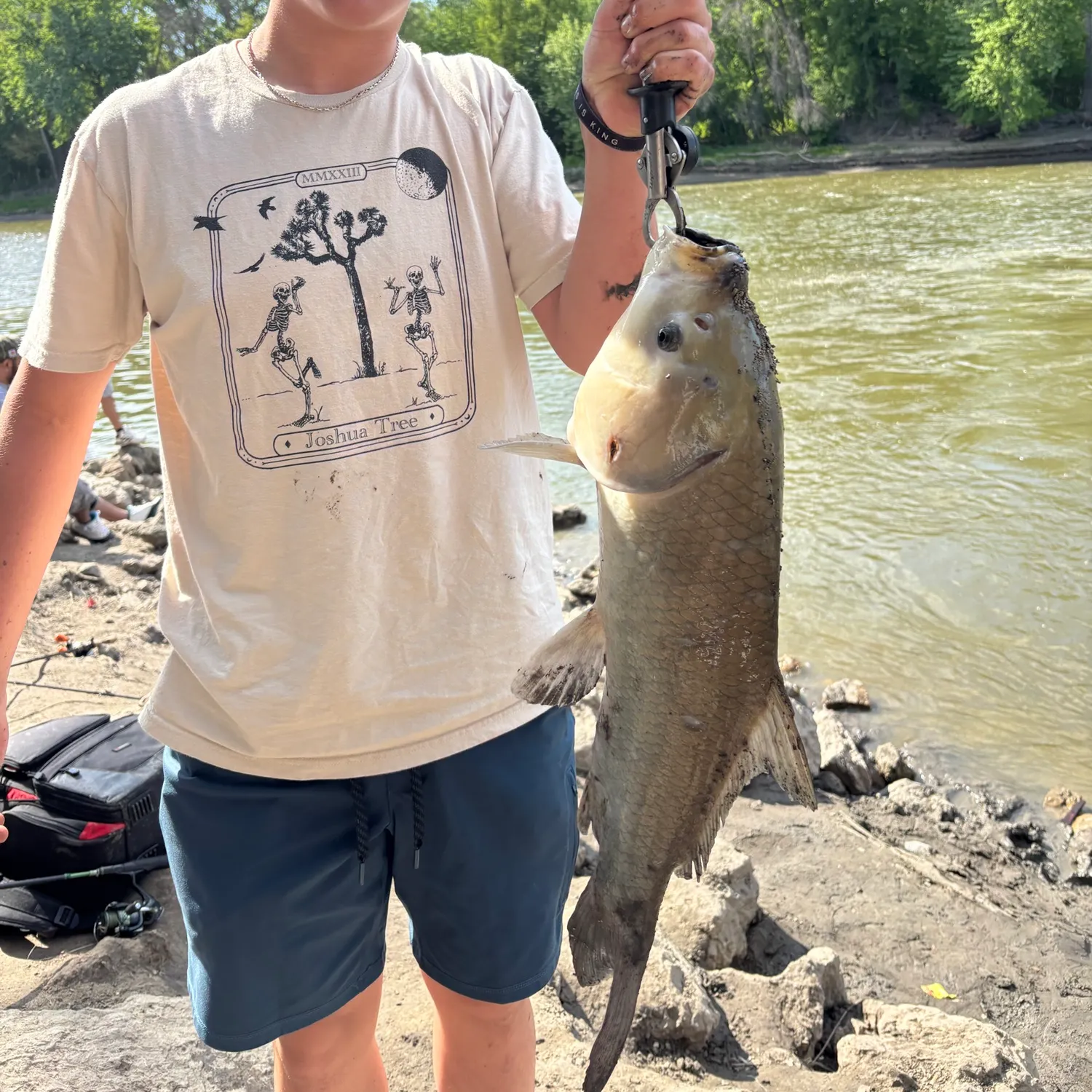 The most recent Bigmouth buffalo catches on Fishbrain