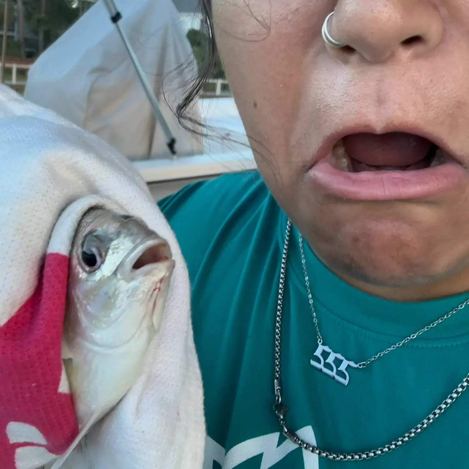 The most recent Pinfish catches on Fishbrain