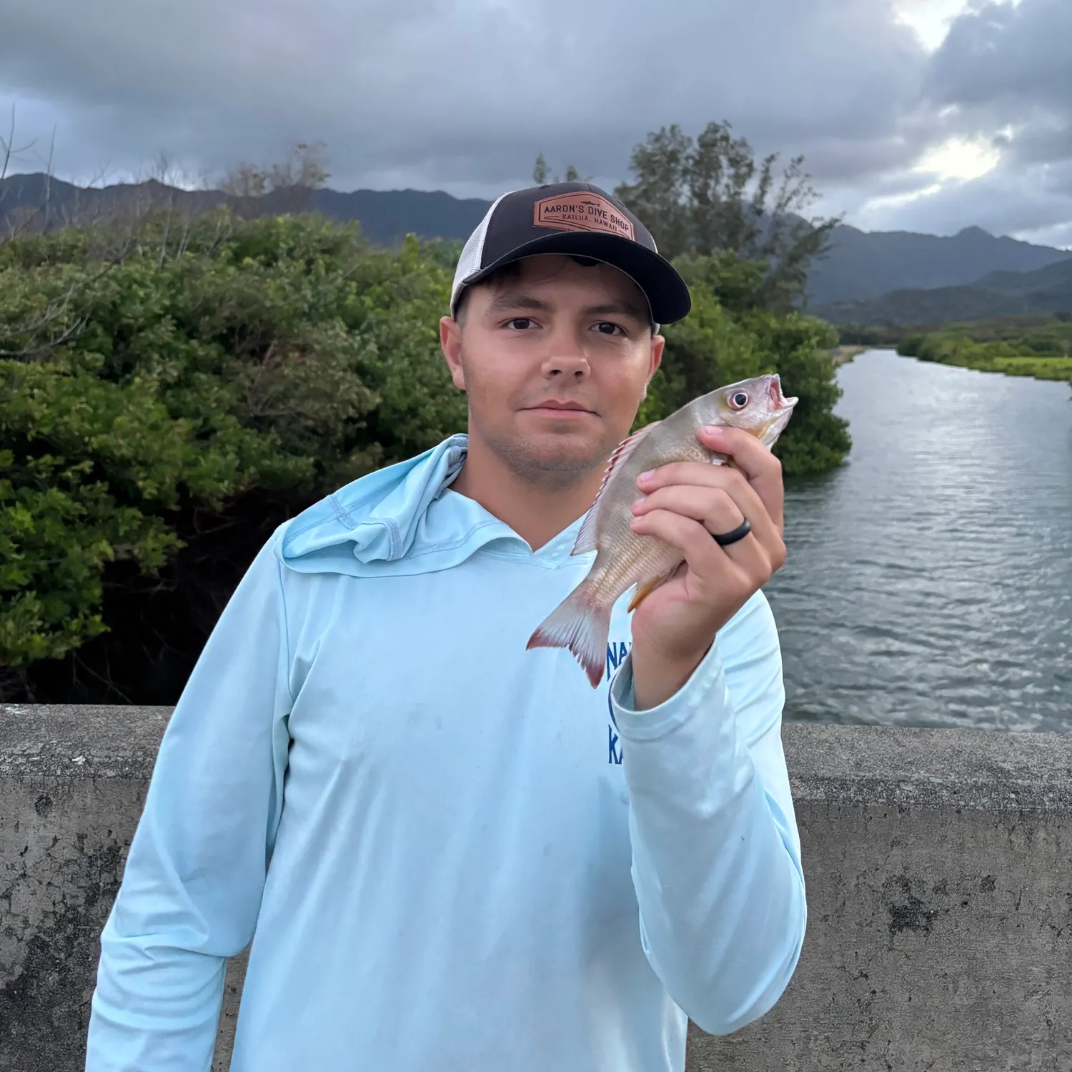 The most recent Blacktail snapper catches on Fishbrain