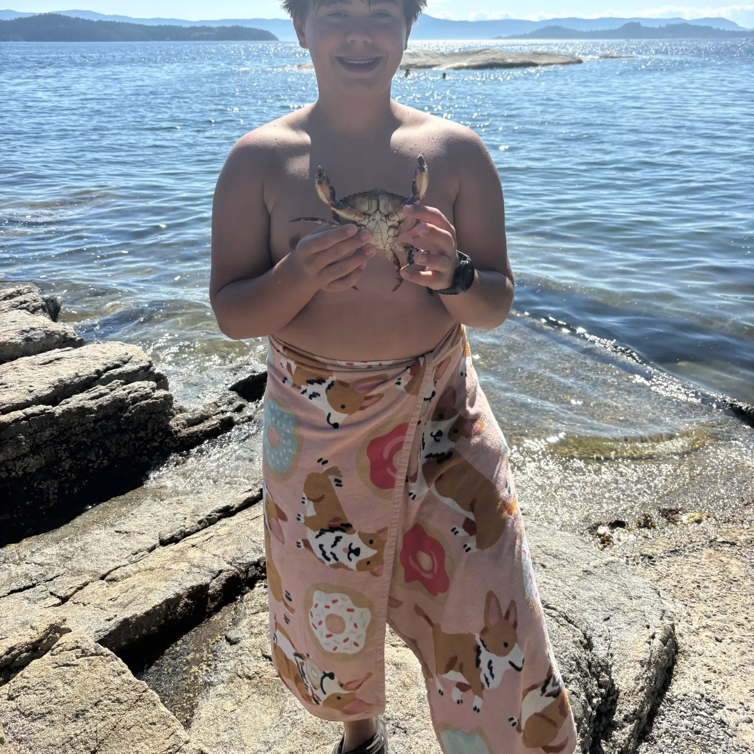 The most recent Red rock crab catches on Fishbrain