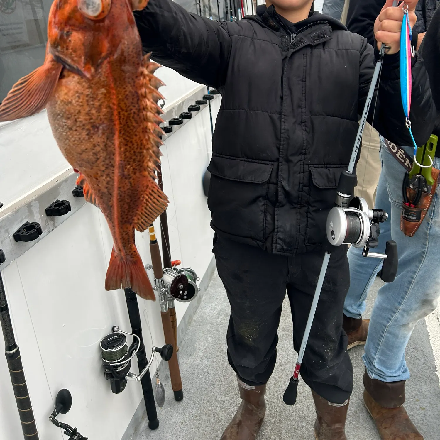 The most recent Bank rockfish catches on Fishbrain