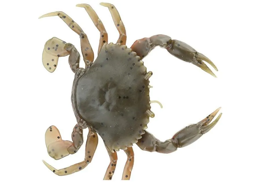 3D Crab