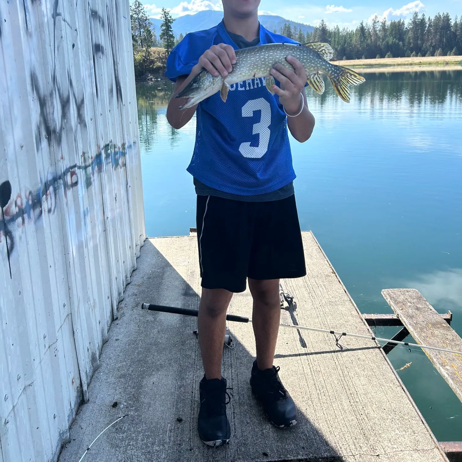 Northern pike caught on Fishbrain