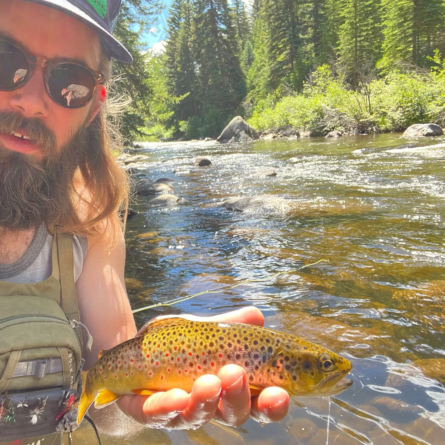 angler catch