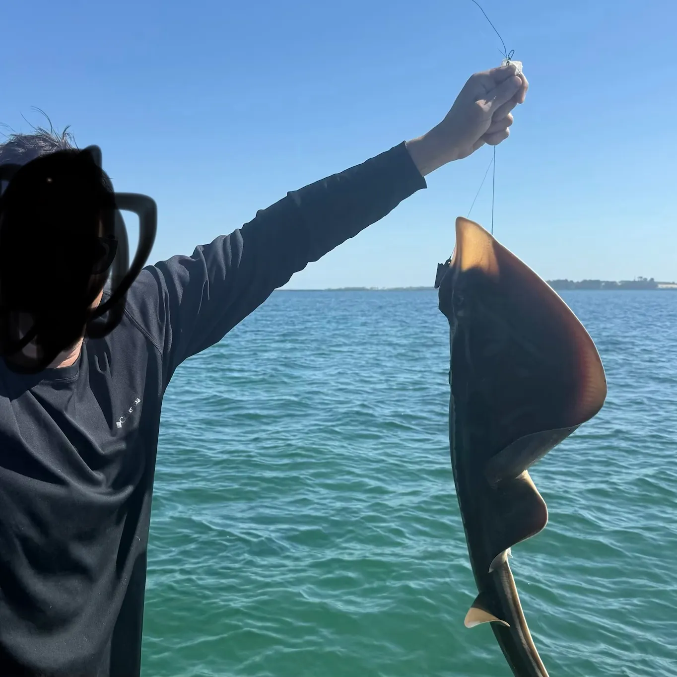 The most recent Southern fiddler catches on Fishbrain