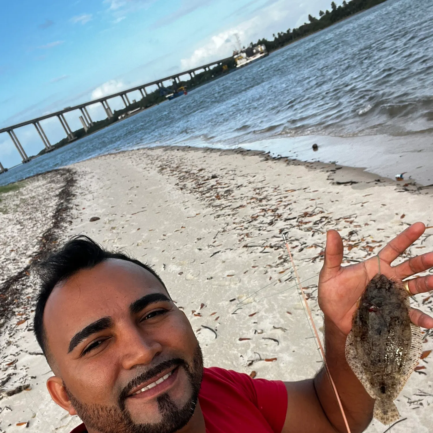 The most recent Zebrias fasciatus catches on Fishbrain