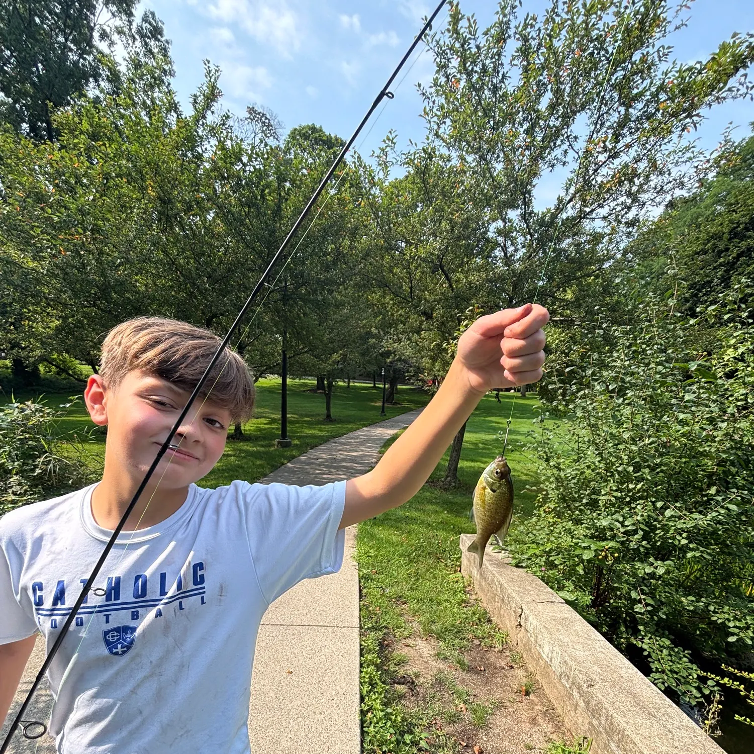 Bluegill caught on Fishbrain