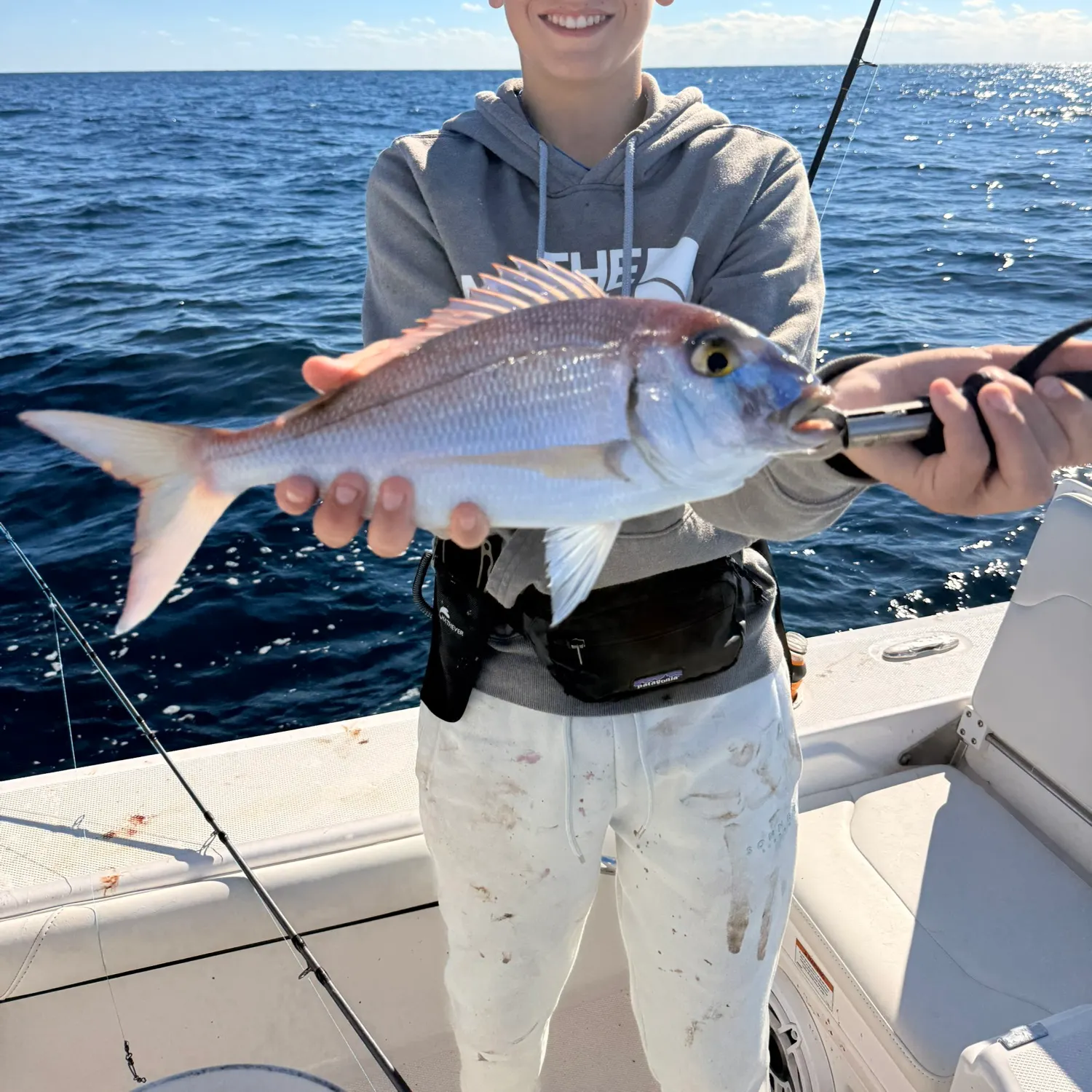 The most recent Common seabream catches on Fishbrain