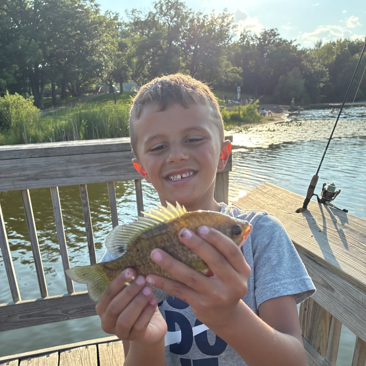 Bluegill caught on Fishbrain