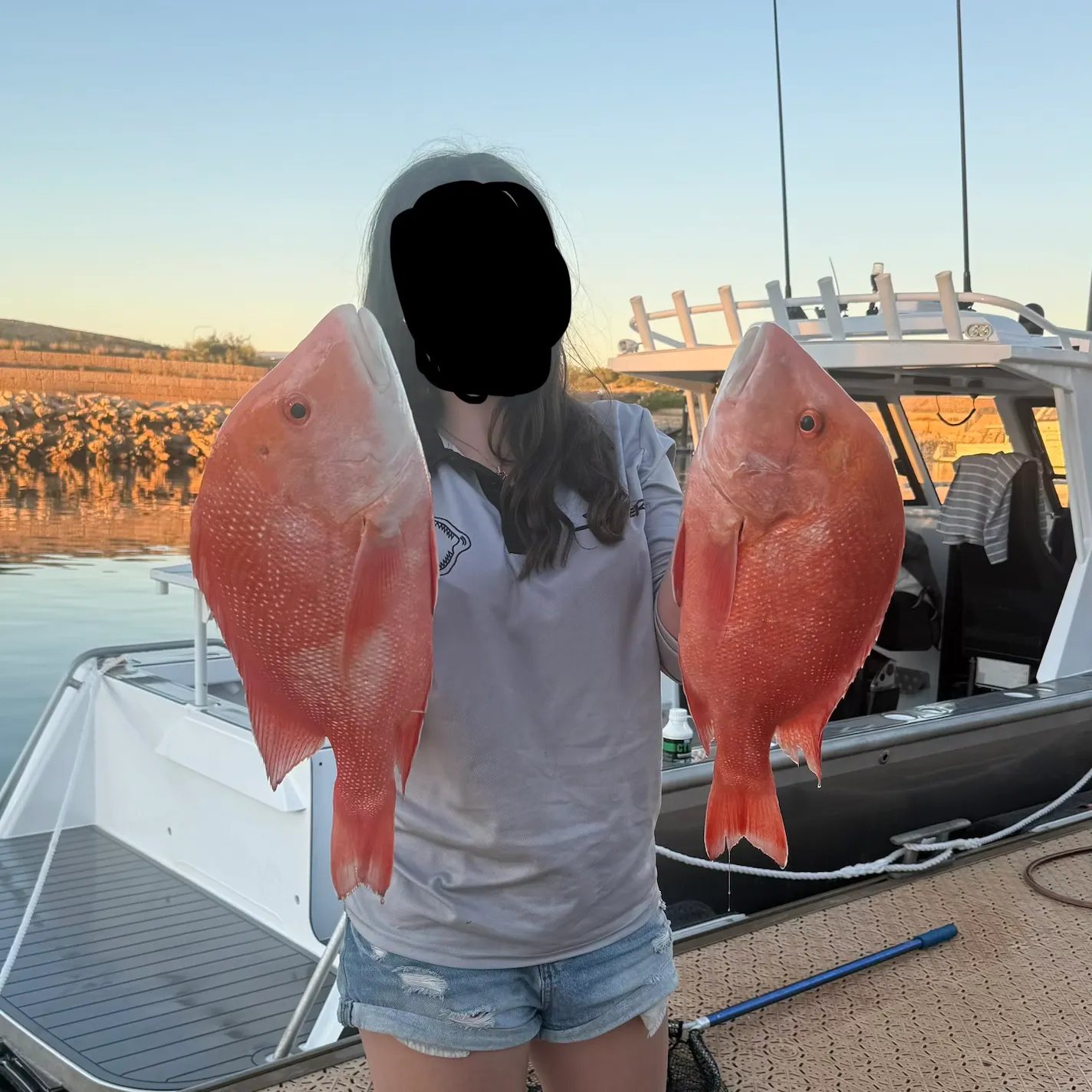 The most recent Emperor red snapper catches on Fishbrain