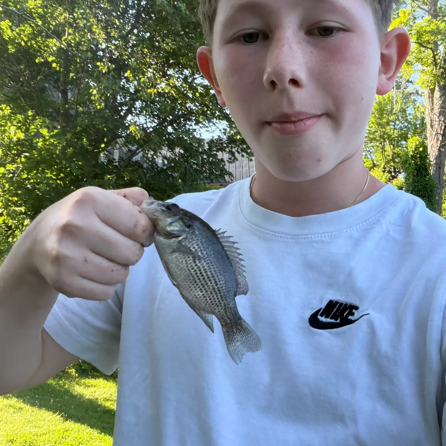 The most recent Roanoke bass catches on Fishbrain