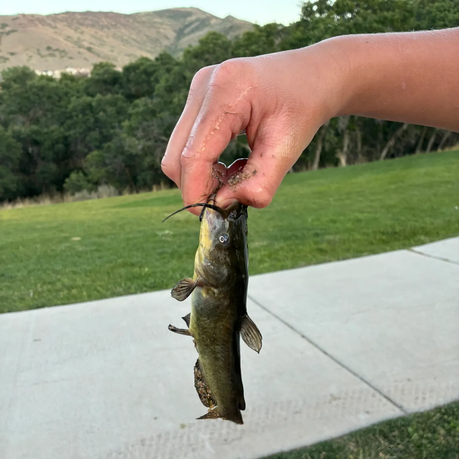 catch