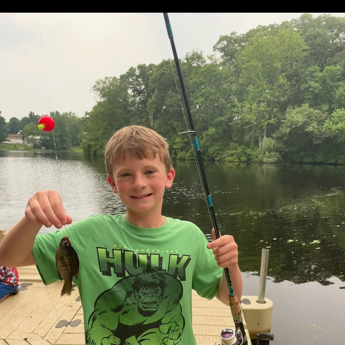 Bluegill caught on Fishbrain