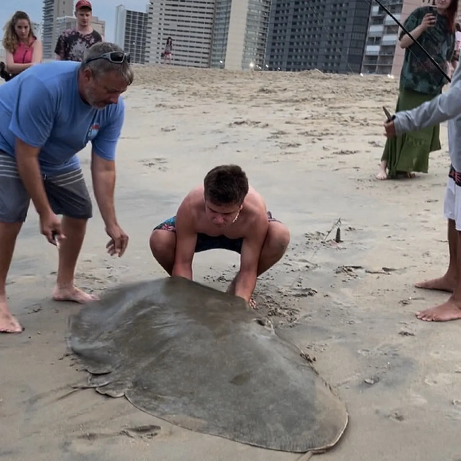 The most recent Common eagle ray catches on Fishbrain