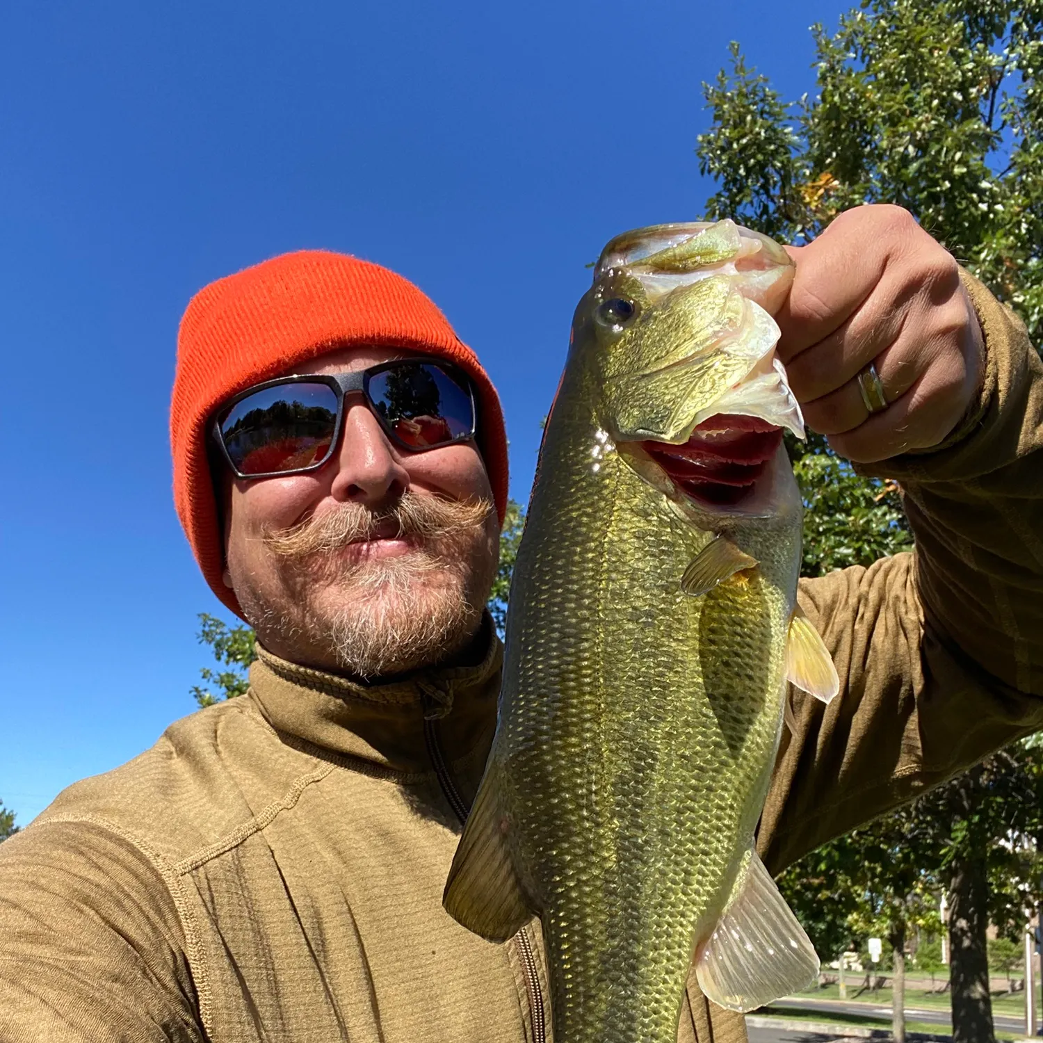 Largemouth bass caught on Fishbrain