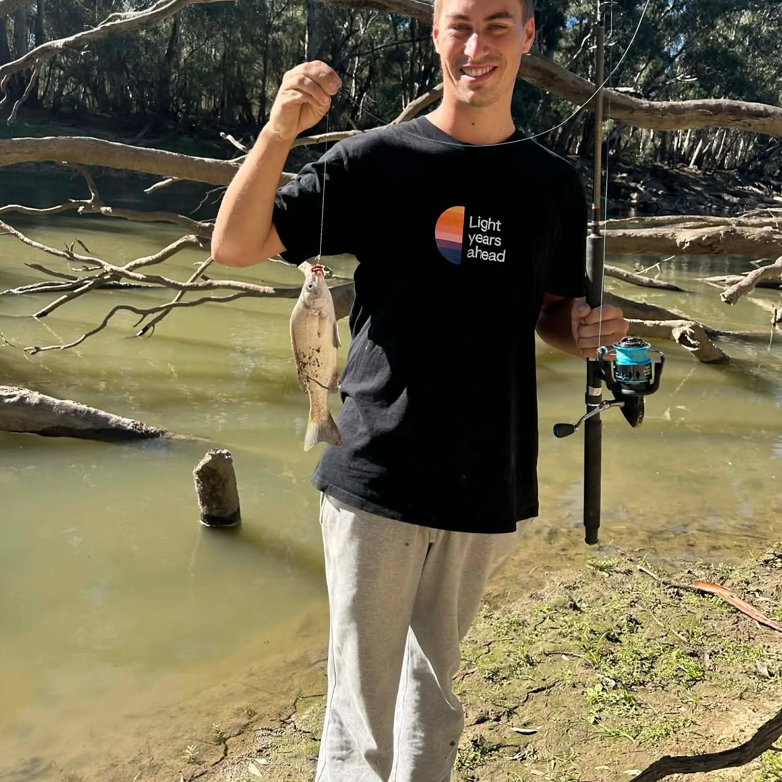 The most recent Bidyan perch catches on Fishbrain