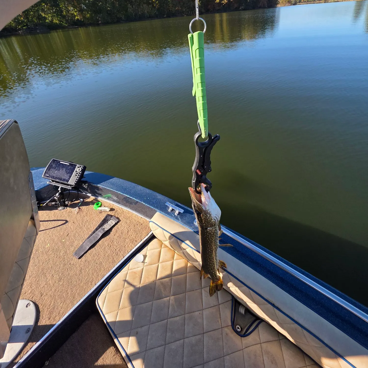 Northern pike caught on Fishbrain