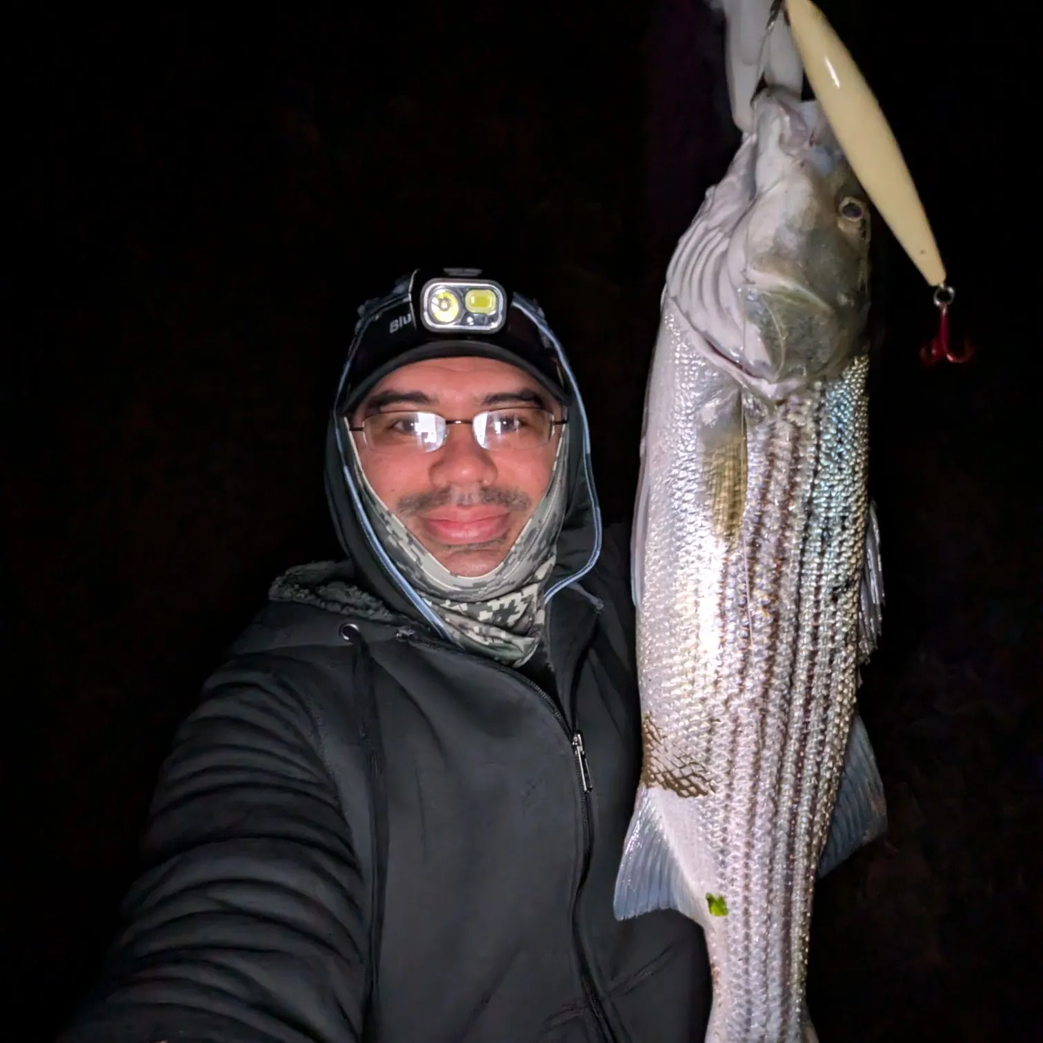 Striped bass caught on Fishbrain