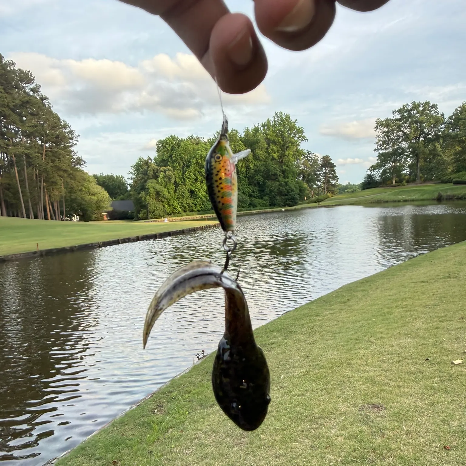 The most recent Tadpole fish catches on Fishbrain