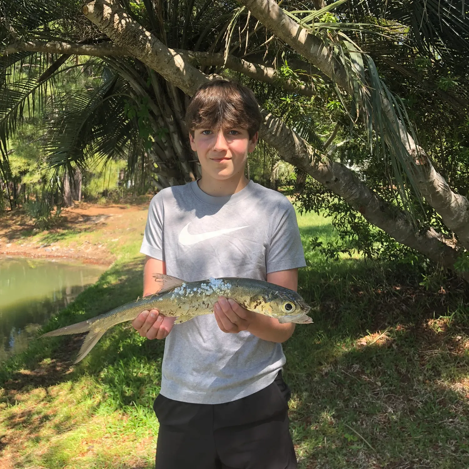 most liked catch image
