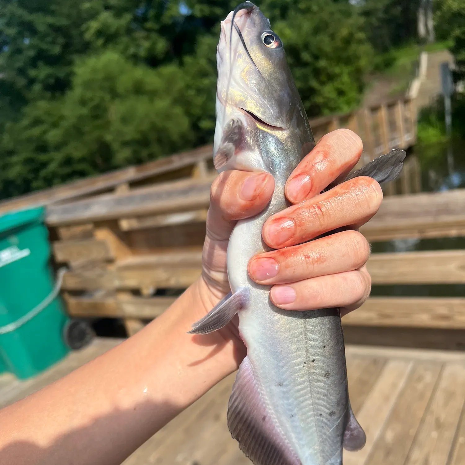 catch
